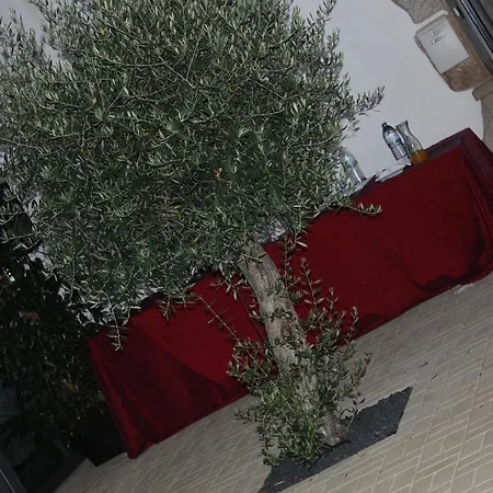 Casa Origens